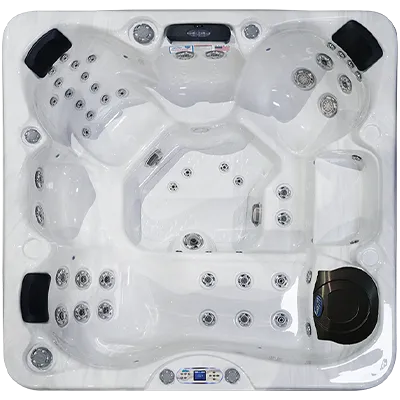 Avalon EC-849L hot tubs for sale in Mendoza