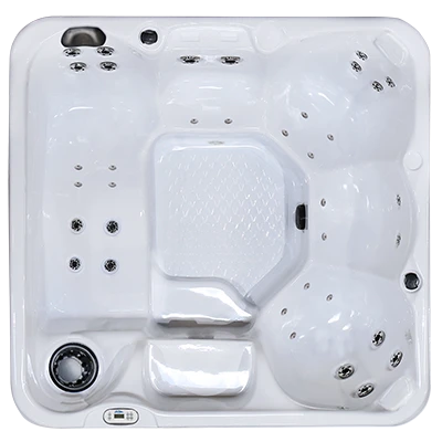 Hawaiian PZ-636L hot tubs for sale in Mendoza